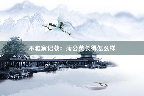 不雅察记载：蒲公英长得怎么样