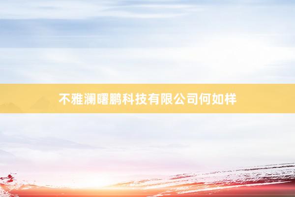 不雅澜曙鹏科技有限公司何如样